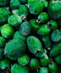 FEIJOA pineapple GUAVA powder