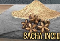 SACHA INCHI POWDER