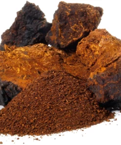 CHAGA powder