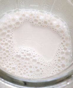 Instant Vegan Milk powder