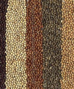 Colorful Puffed MILLET CEREAL