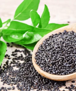 SABJA ZEN BASIL SEEDS